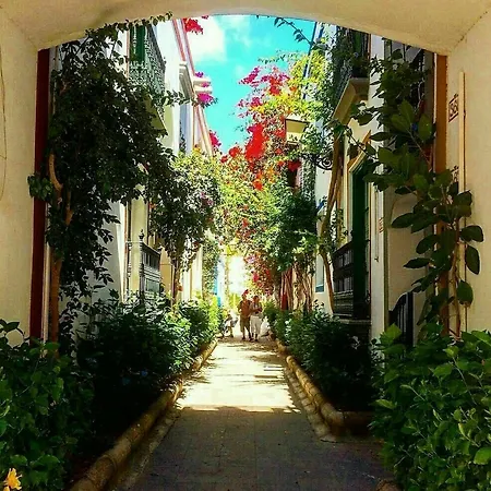 With 2 Bedrooms In Palmas, With Furnished Terrace And Wi *